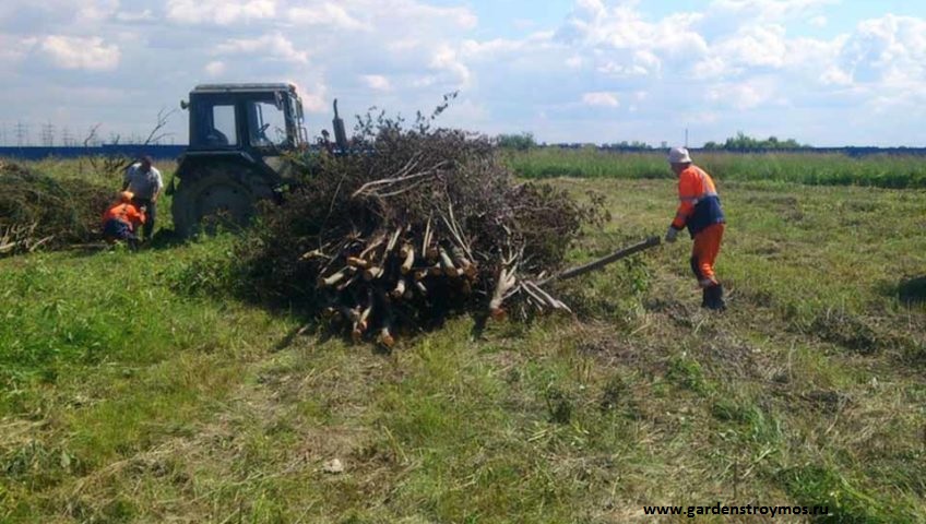 Работы по расчистке дорожной полосы от растительного грунта