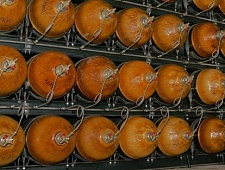 Газобалонные установки 