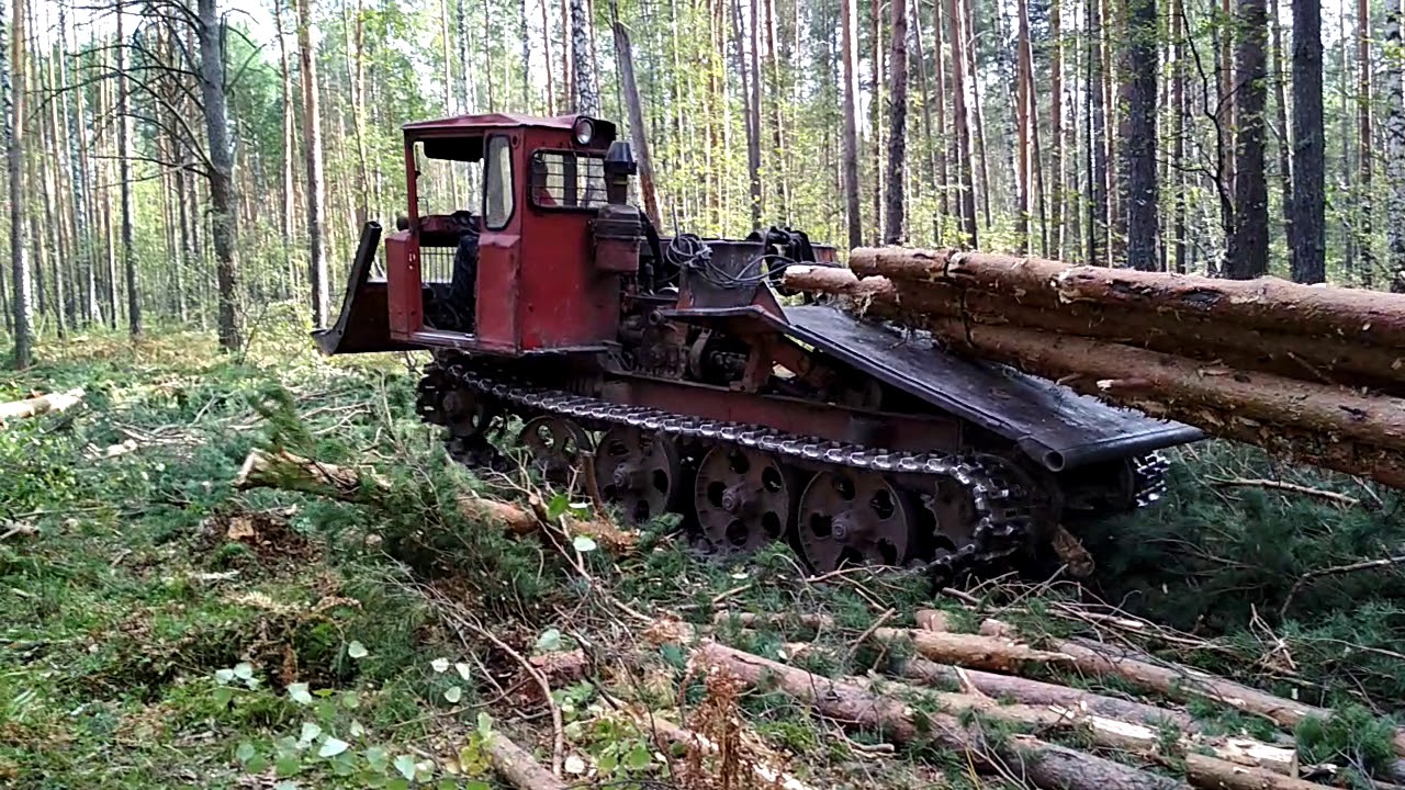 Услуги трелевочных тракторов	