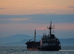 В России ограничили публикацию данных о нефтепереработке и поставках топлива