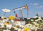 Российские нефтяники обещают стабильные поставки бензина
